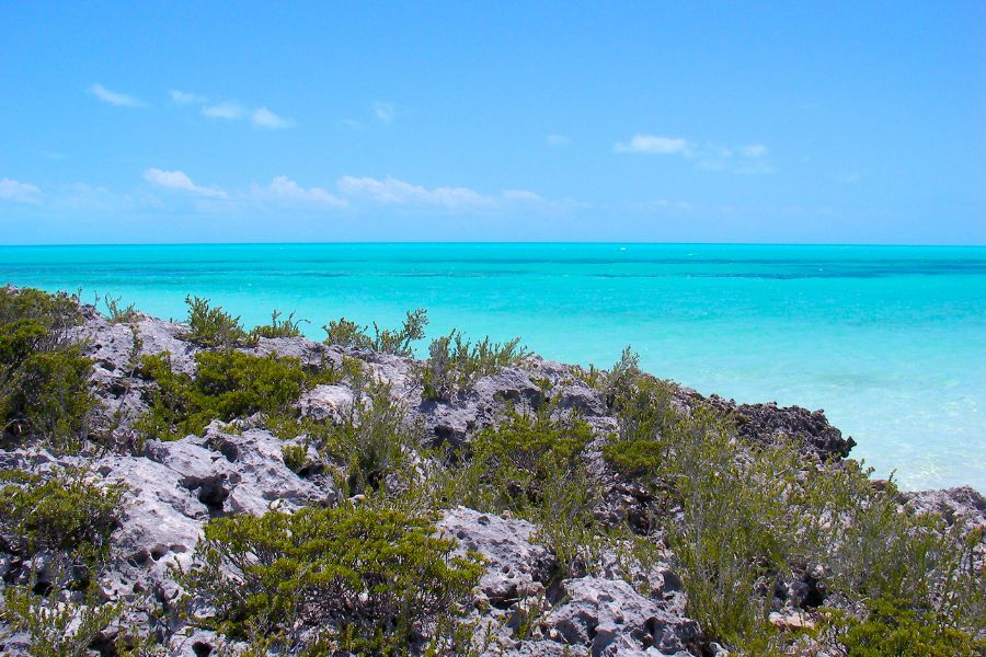 Turks and Caicos Underwater Oasis: Exploring Smiths Reef
